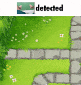 a picture of a lawn with flowers and the word detected
