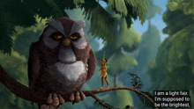 an owl sitting on a tree branch next to a fairy