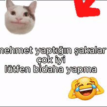 a picture of a cat with a red circle around it that says ' ahmet yaptiğin sakaklar '