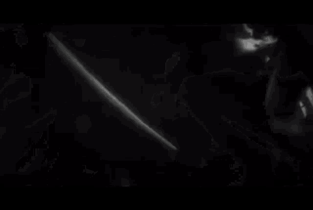 a black and white photo of a tree with lots of leaves