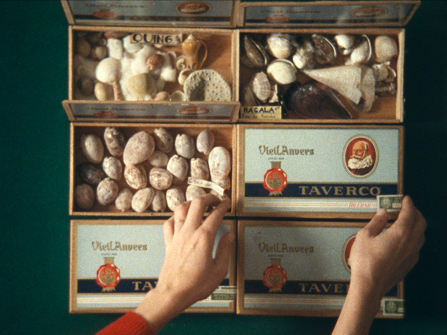 Film Still