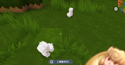 ��������ն���ô��ֳ