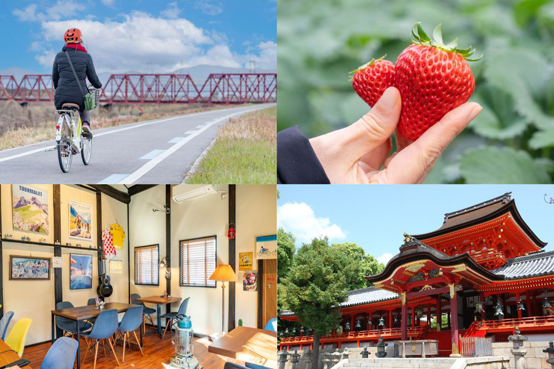 【八幡市】いちご狩りも楽しい季節！サイクリングでまちを巡ろう