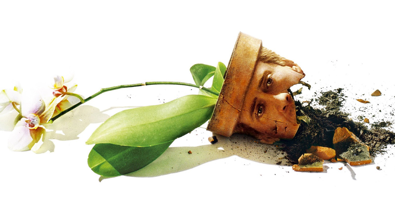 Il ladro di orchidee