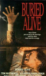 Strategia di una Vendetta