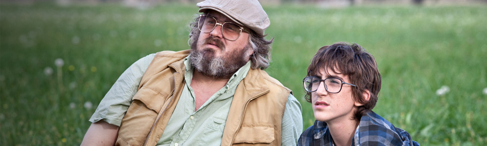 Il comandante e la cicogna