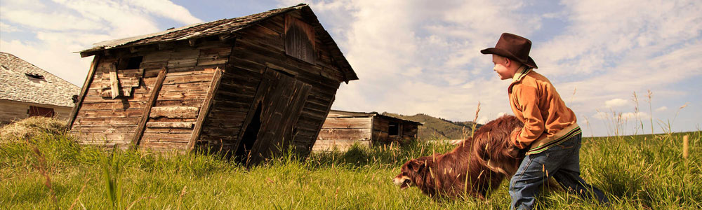 Lo straordinario viaggio di T.S. Spivet