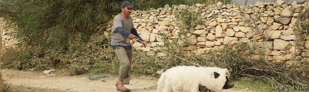 Un insolito naufrago nell'inquieto mare d'Oriente