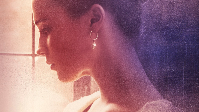 La Ragazza dei Tulipani