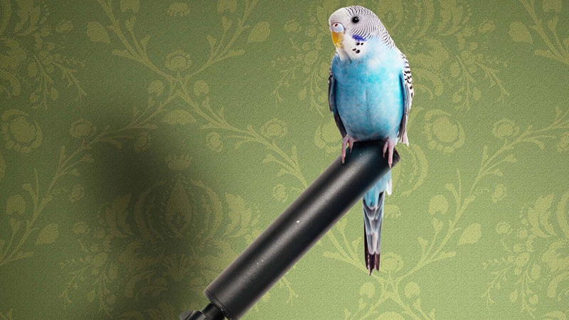 Morto tra una settimana (o ti ridiamo i soldi)