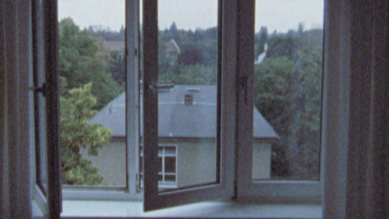 I Signed the Petition