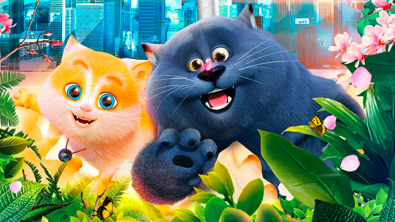 Birba - Micio Combinaguai