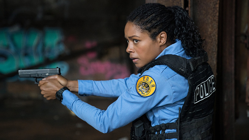 La legge dei più forti