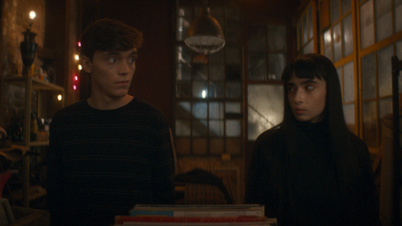 Vampira umanista cerca suicida consenziente