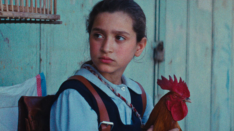 La torta del Presidente