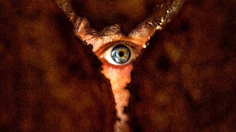 Return To Silent Hill