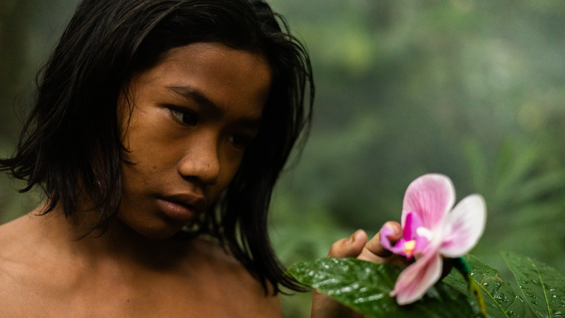 The Garden of Earthly Delights