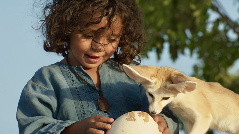 Il Figlio del Deserto