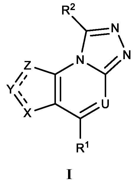Figure imgf000003_0001