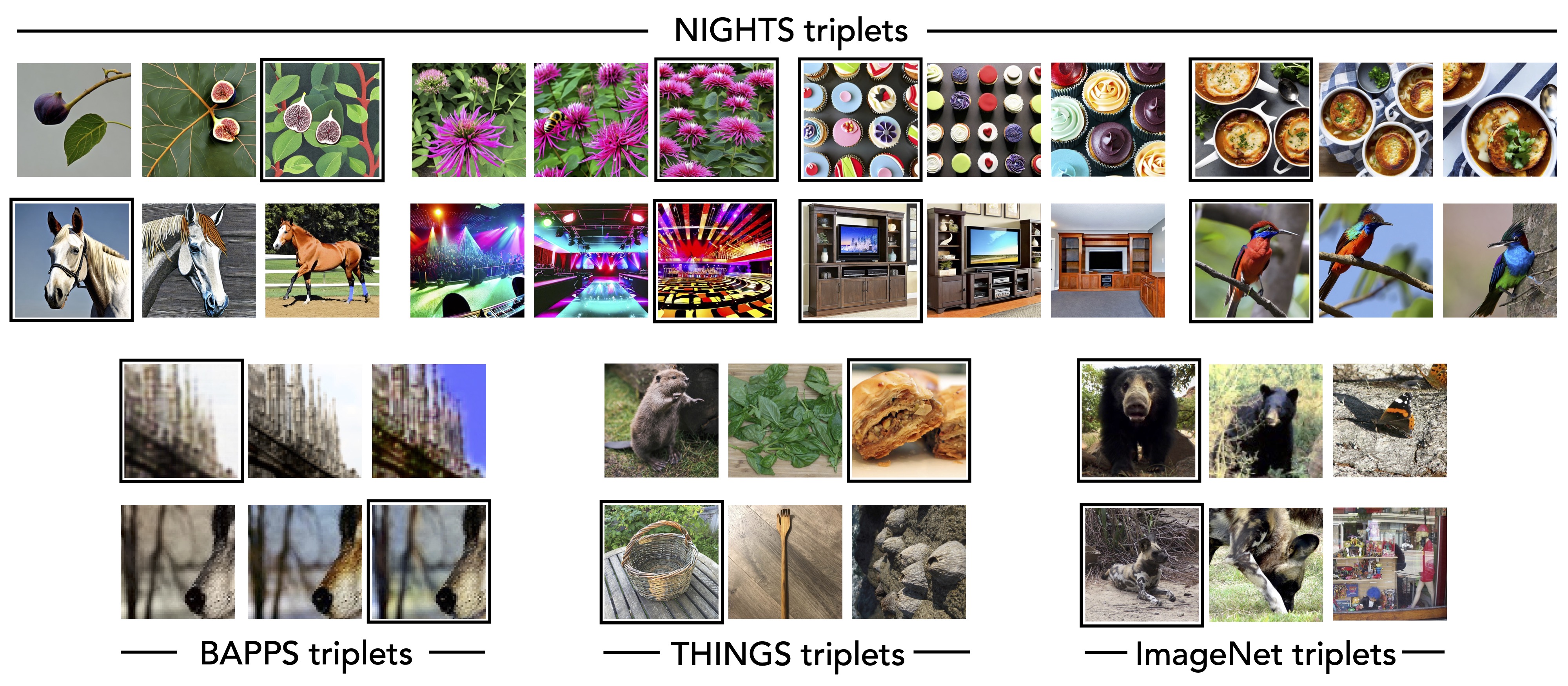 Description of the image