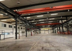 车墩独门独院厂房出租出售