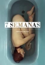 7 semanas 