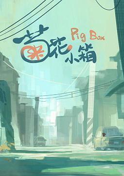 Pig Box (C)
