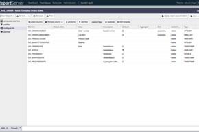 ReportServer Screenshot Dynamic List Feature Options