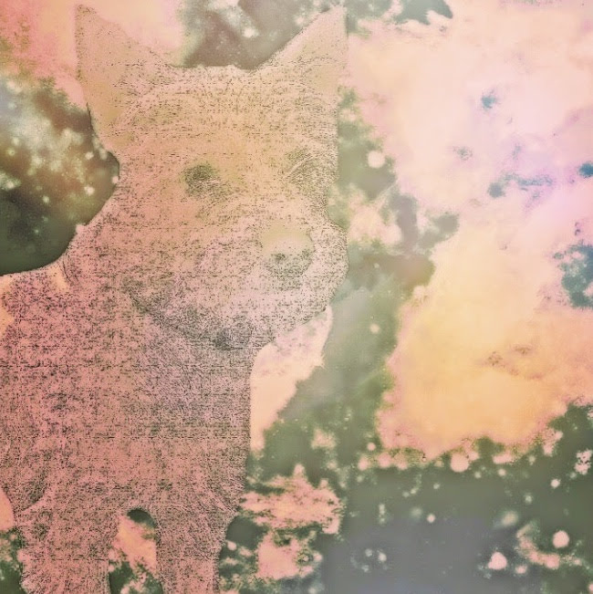 real estate dog album cover (2017)